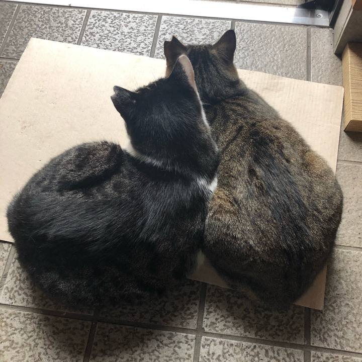 C7962f14 bf60 4861 aa20 1b435cc22afc 1602984175990