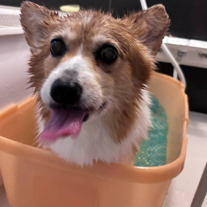 C79668ca daf3 4d24 84d2 47e141a8bfd4 1754738917629