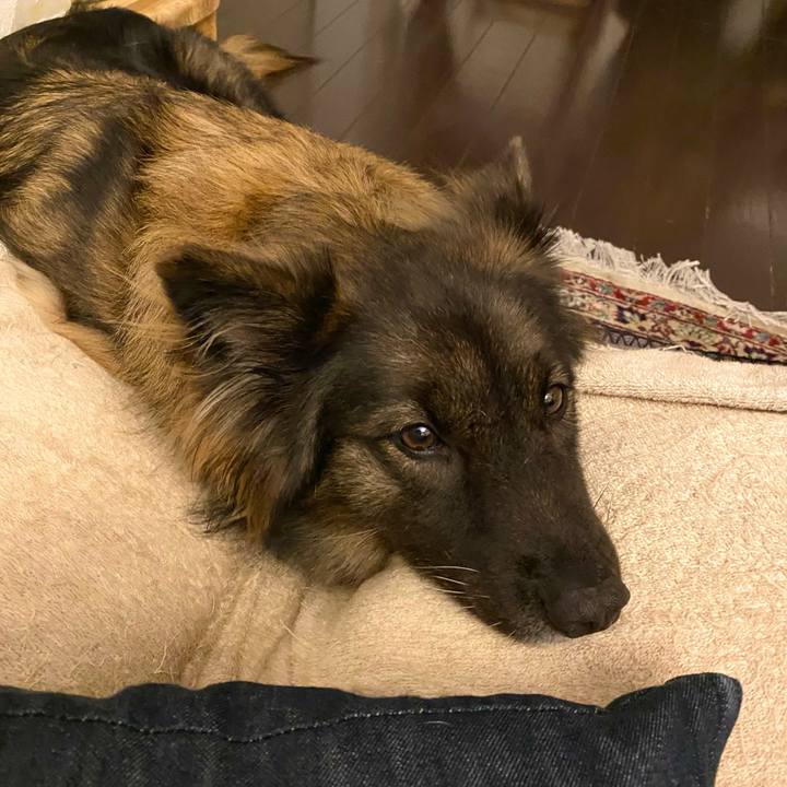 C7966ed4 7f48 46df a792 3a1ad39679da 1756008054358