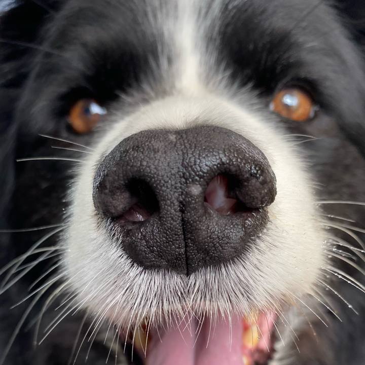 C796a25f 4491 4f14 ae12 4f3c19c2b3da 1623890734390