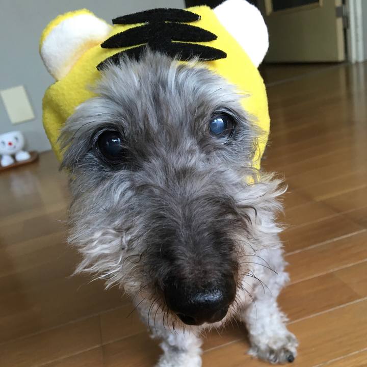 C796c36d c56d 4f74 b329 524bace0a224 1640986414504