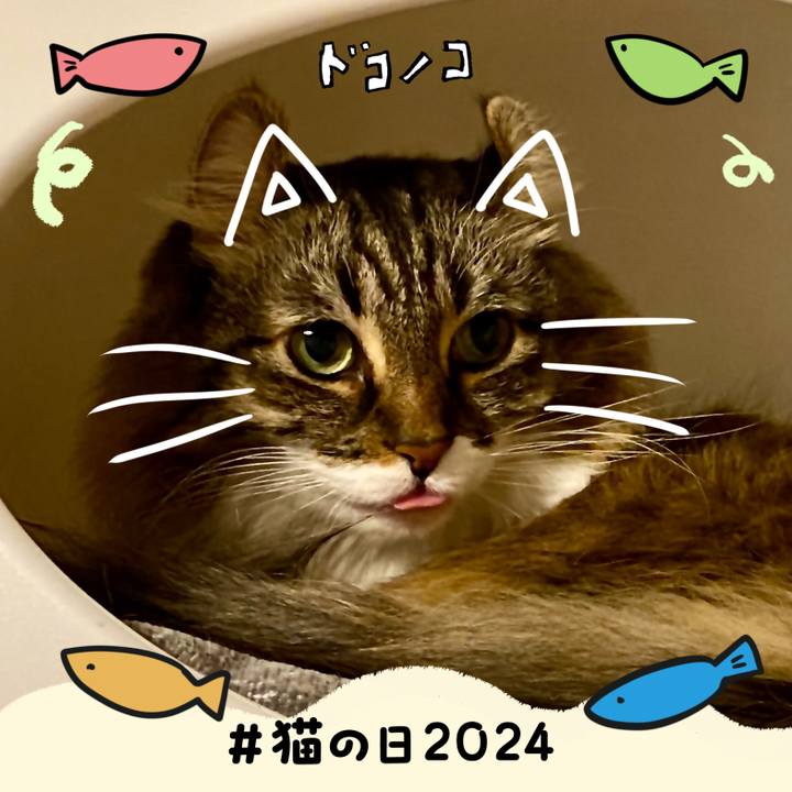 C796e89c f8e8 4e13 983f a41d94cfd3dc 1708589270143