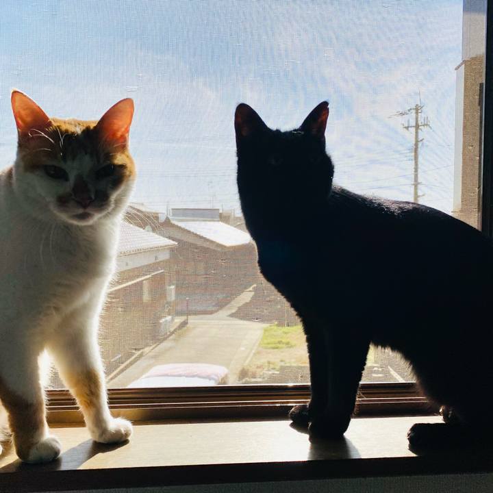 C7970049 e6f1 44da ac63 85e161d2899a 1669544642757