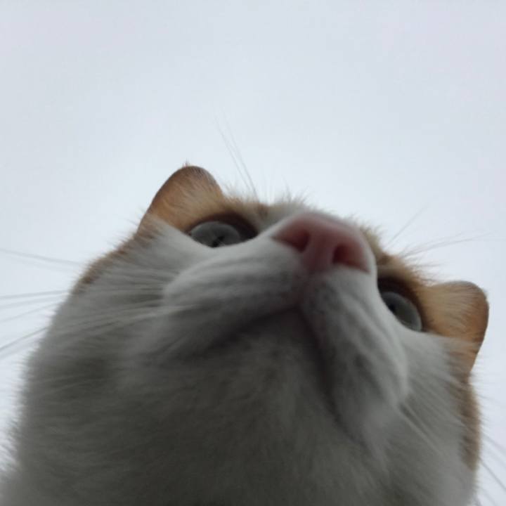 C7970d6d 0281 4f3d b02d 2802c8395636 1516151084313