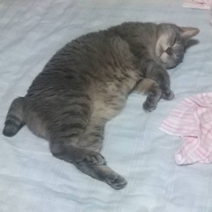 C79717c7 0aa0 4e2f b1ae 654028765924 1655741104130