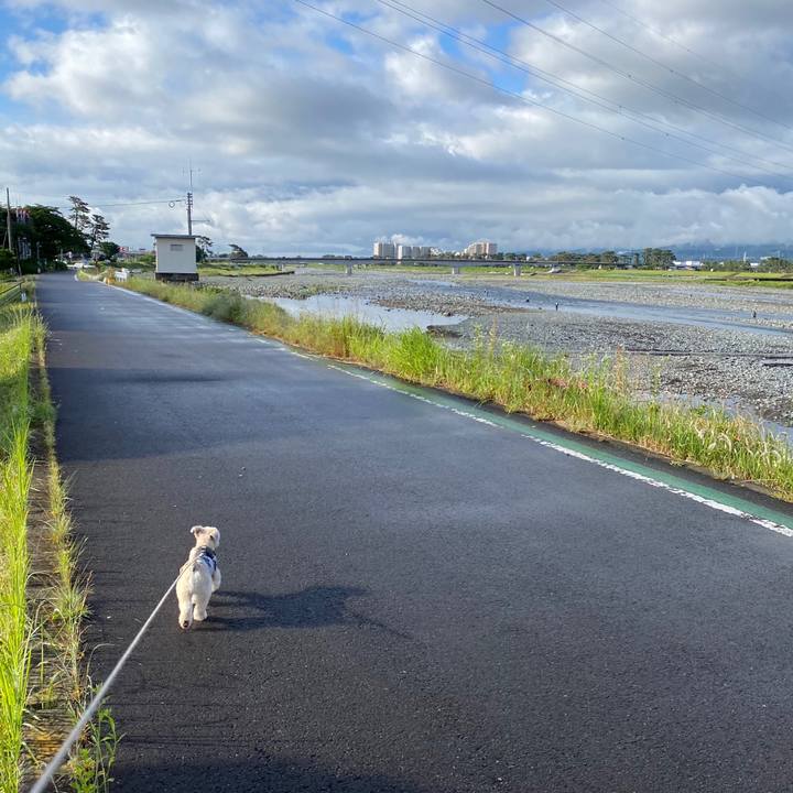 C79758b9 0e22 4cc5 8463 744b87dd1d4e 1591069503087