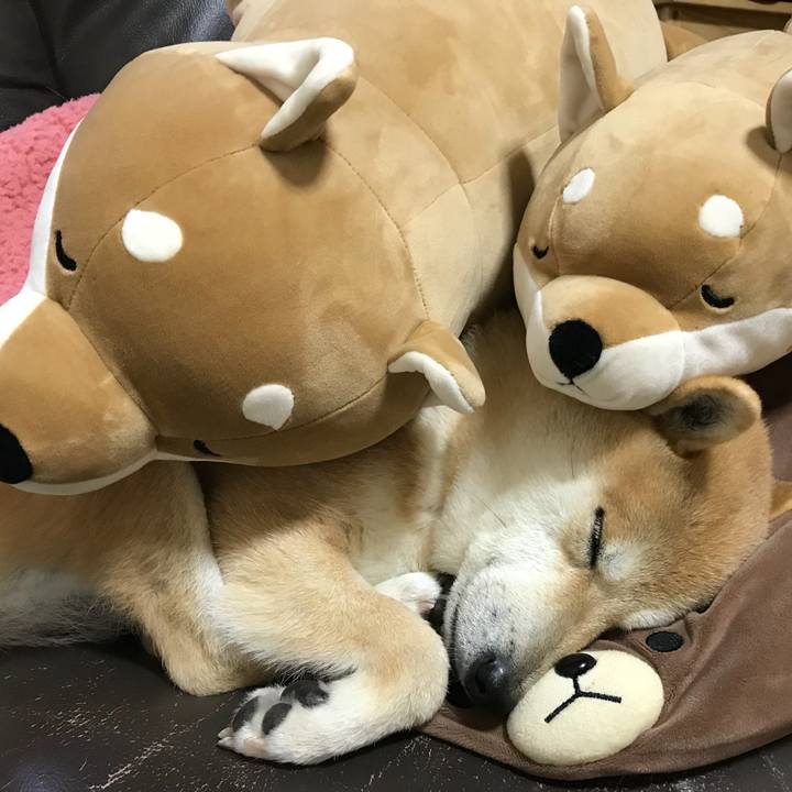 C79765c4 86ed 420d ad33 53ac54739cc3 1518485973678