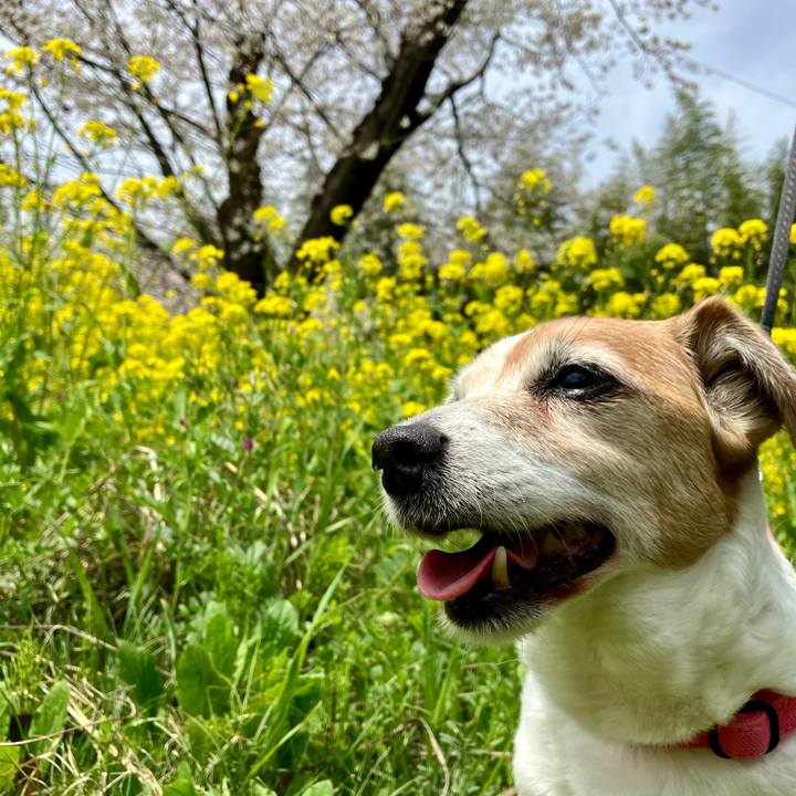 C79769e9 c420 465b b782 dd7761290b53 1712467825343