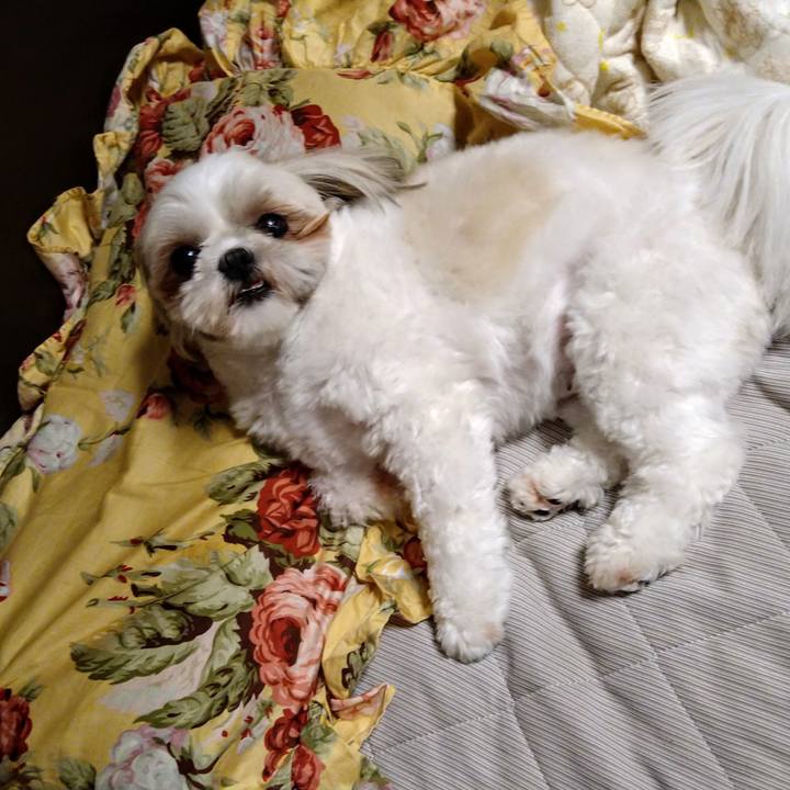 C797885f 18de 4412 98aa 6e7a72ef81d4 1631196590093