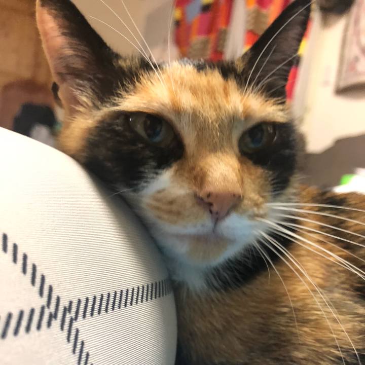 C7979e84 d0a1 48b3 92ef 58479f54af41 1558871351368