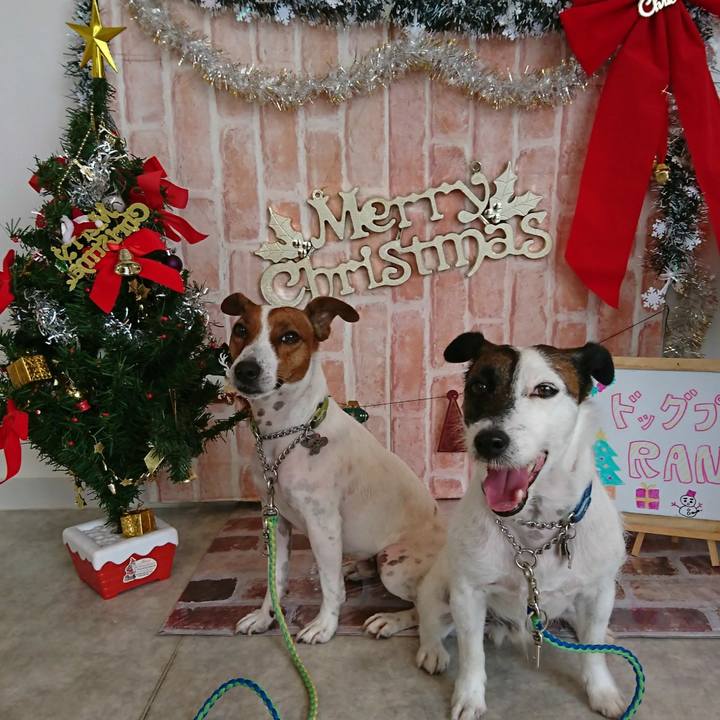 C797b51f 4c16 4ff5 b103 a83629401ee4 1608782417311