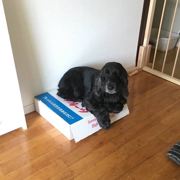 C797ca54 0fa0 4203 8a5c 7f52ad61332d 1545828504723