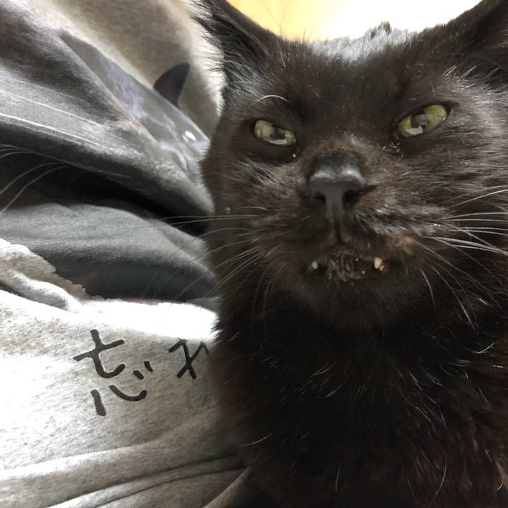 C797d85e c775 49f7 bdbb 13c2392cb235 1619015407724