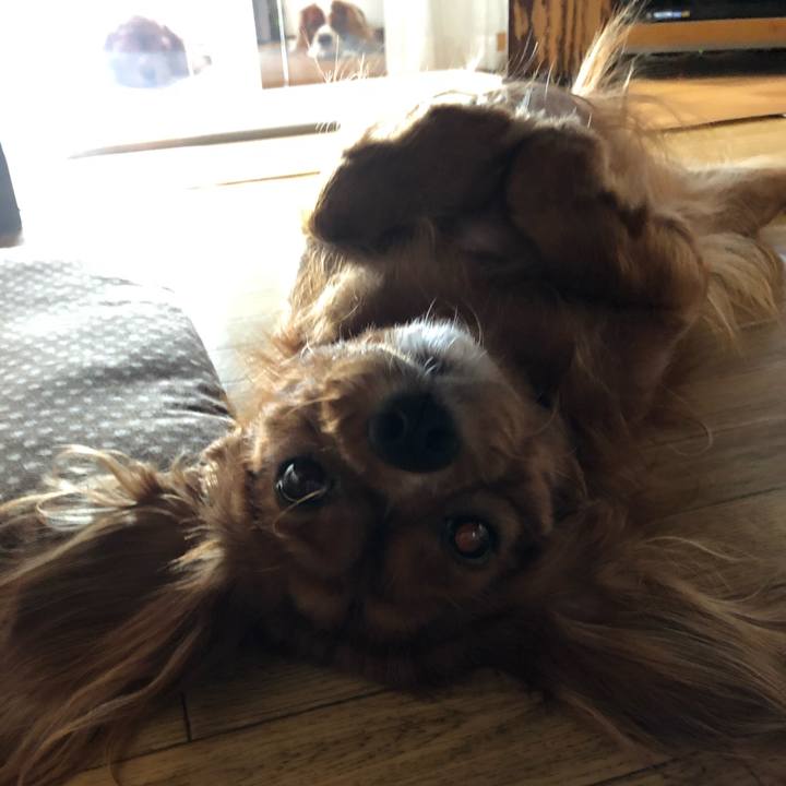 C797db63 4f7b 4cb4 a6ac 747e6634455b 1568643011895