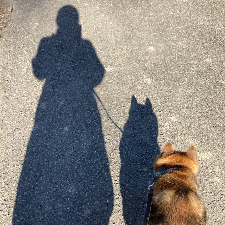 C797f1ee 732b 47d6 9346 67056f029a90 1672976473388