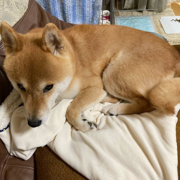 C797f210 c9a2 40fb 9d12 8ceb9af9709c 1654483311898