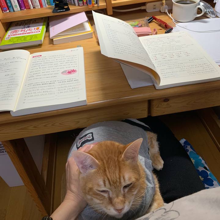 C797ffed f1ea 4c4d a7a3 ef7316badd1b 1638392008767