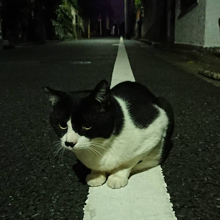 C7980980 5d96 47dd 81a6 26b6352c411a 1526477678231