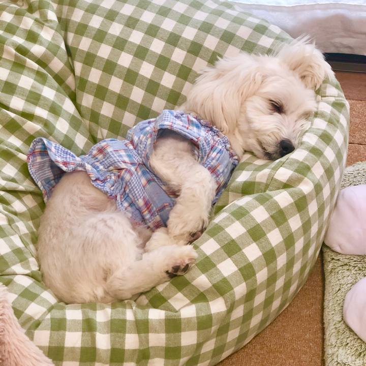 C7983f47 5240 421b af7a aae84815ef78 1560990763246