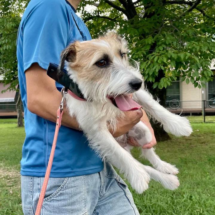 C7986958 0b7d 49e4 b0bc 5ad97fa5a5f6 1658613000793