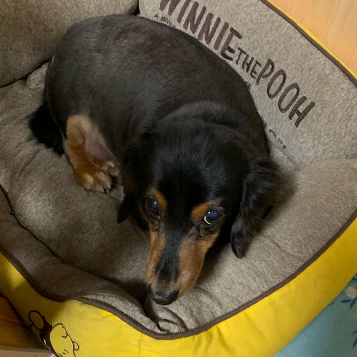 C7989a91 43a4 4ba7 9a01 b32b8608b8e2 1571348977391