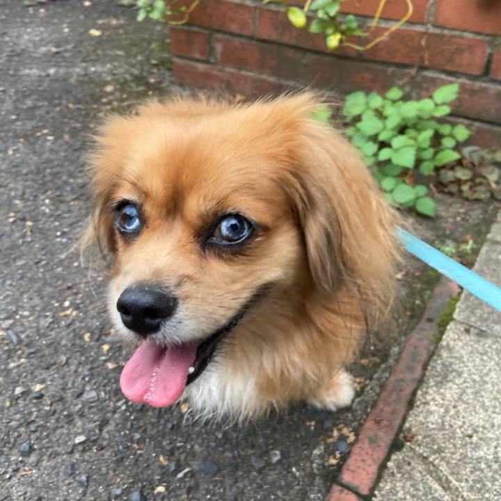 C7992def 211a 45d3 9508 d3861bf87070 1601767416708