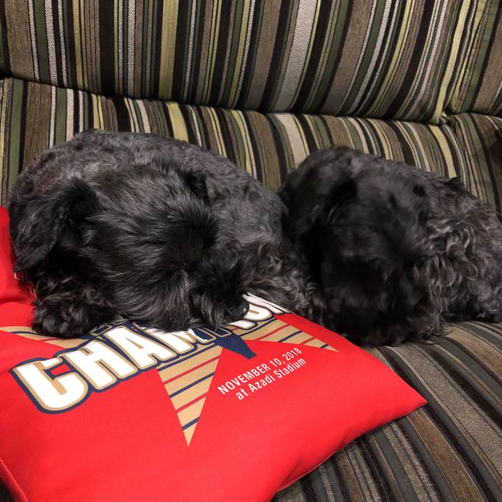 C7995787 1afd 4653 95d9 bc1ba743a660 1582664388467