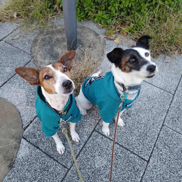 C7997439 1dc3 4556 97d1 ff3f1f1391d7 1731019899424