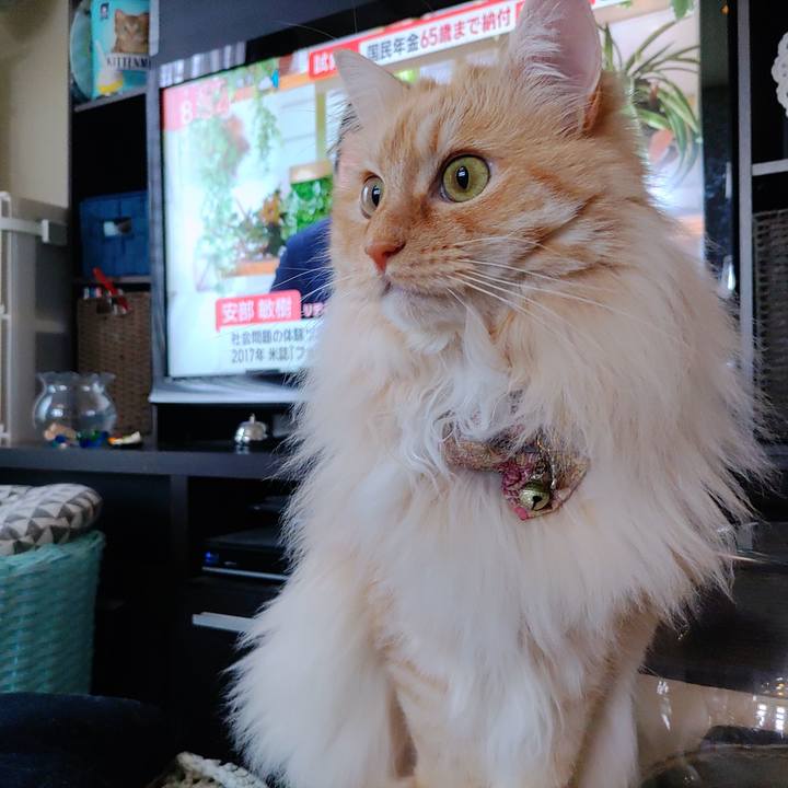 C799b957 679a 4734 a8af 673d386b4601 1713357053681