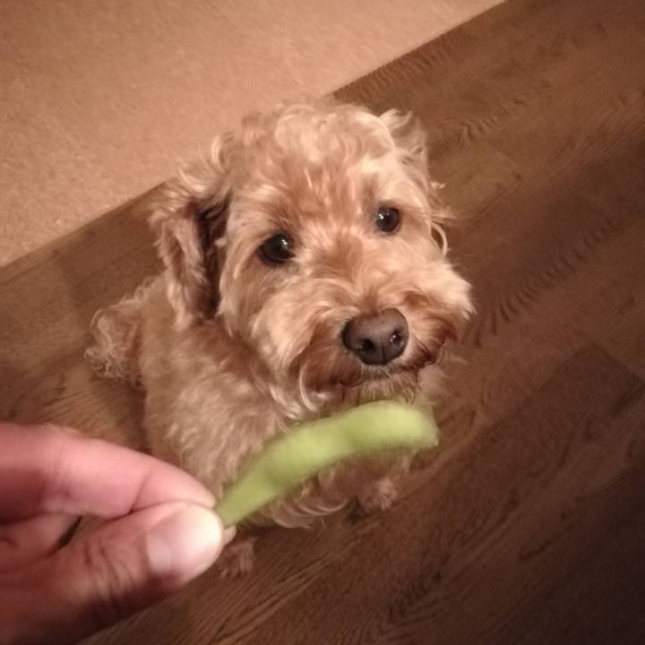 C799f0c8 b3fb 4f86 869e 98513bd6280f 1531919259733