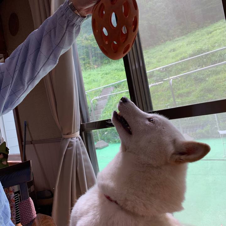 C799f9a4 3252 45f9 8ded c1d80adb1605 1568534297469