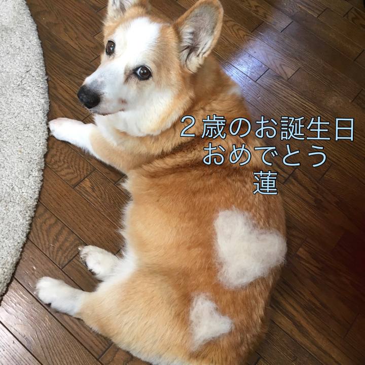 C79a07b7 e36a 42cc ad4d e9780eb62141 1645664088756