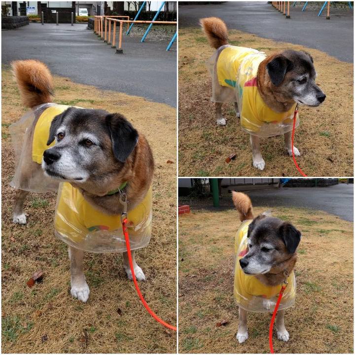 C79a24ae 626f 47ea ba79 da42a917163b 1552271332184