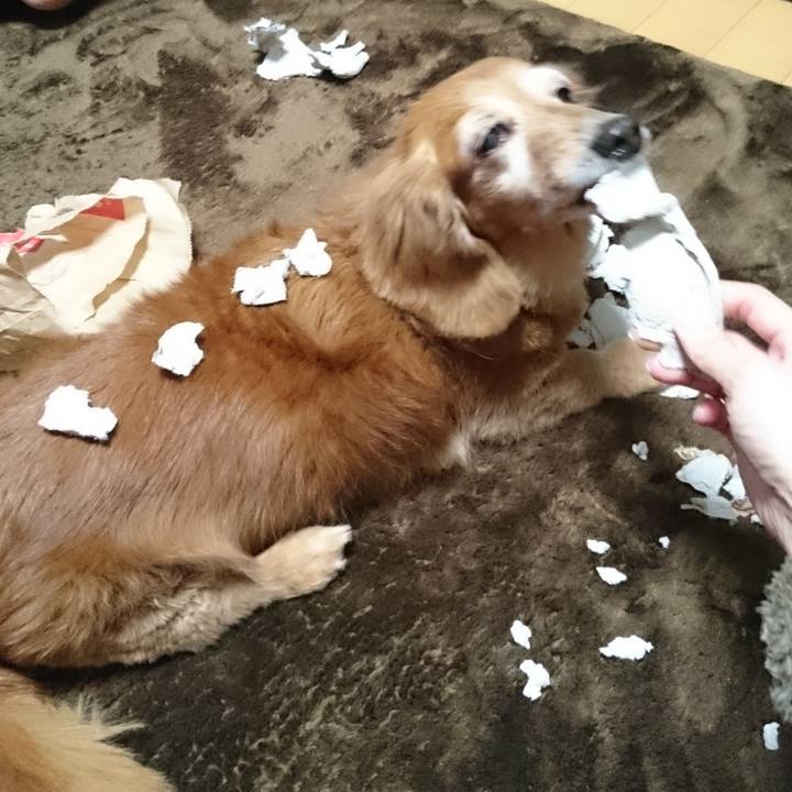 C79a53ee a236 4f2d bd94 00f36b10ed11 1724690343601