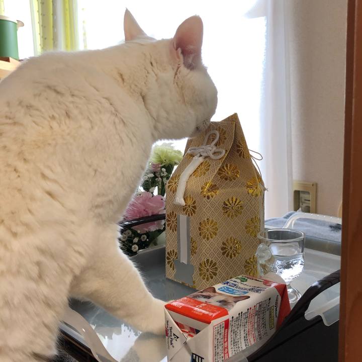 C79a5aa4 822c 4ced 88f1 a274e270573b 1582105846575