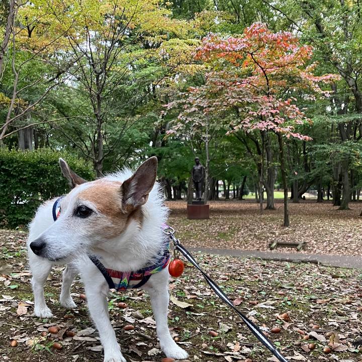 C79a6461 cc95 4222 a836 8b9de8cc8cff 1730071434590