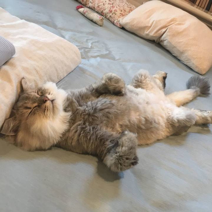 C79a68f6 7490 4eb2 a62e 309e5ec028f2 1600685336801