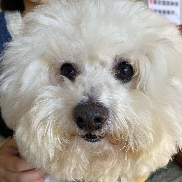 C79a798e cfcd 4a70 a4e5 af19f4730db6 1735722474031