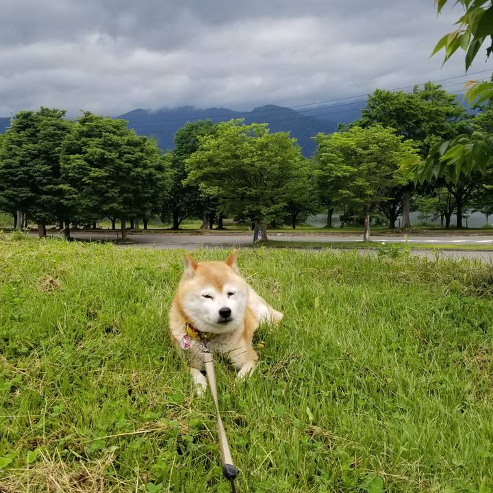 C79a99c8 1dd9 4aae aa04 c669cf6b0f26 1686890532978