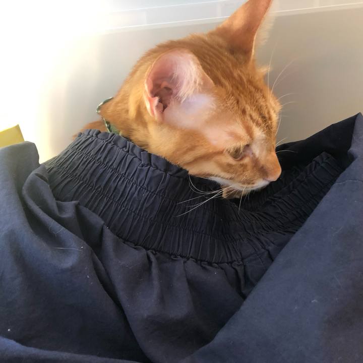 C79aa000 0a2e 42cd 80d9 5a9bf50d1891 1637050944834