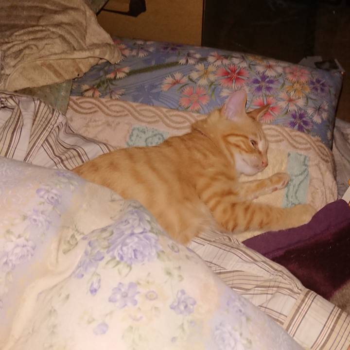 C79ac96e afa9 449b 90dc 3813ea2d9d71 1633812183639