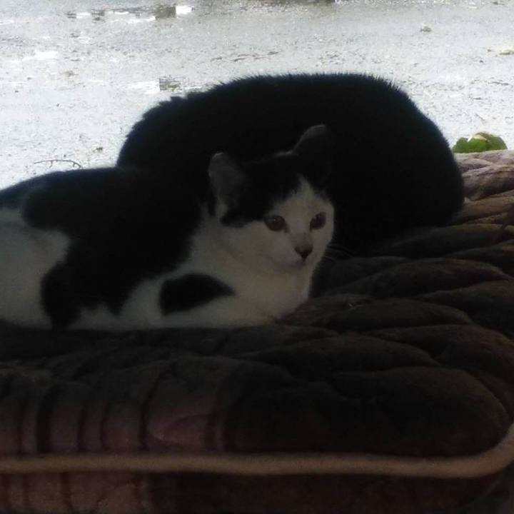 C79afcde 5c5b 4fde b669 30e5942aec45 1574553772509