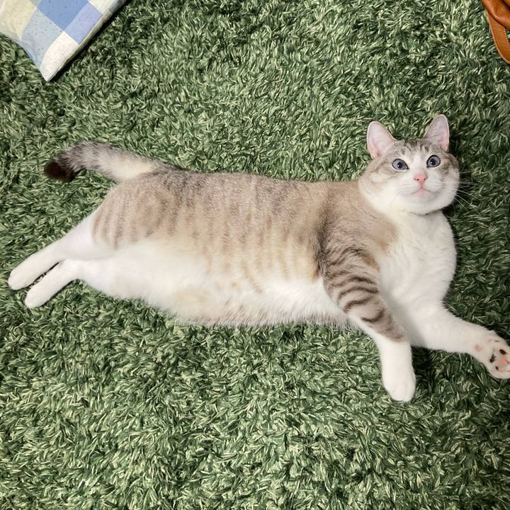 C79b17ae fe03 45cf b15c c2c2c550514a 1637759828268