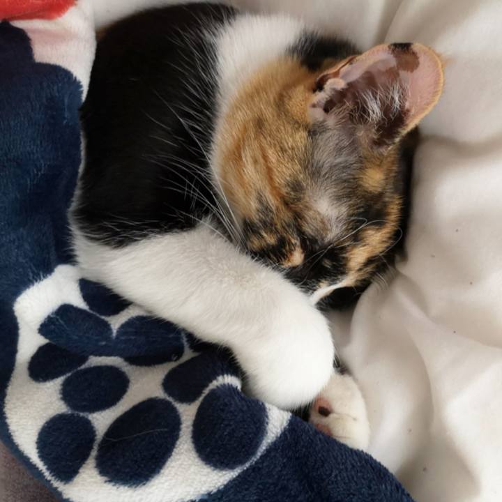 C79b464c aab8 4463 a051 a6d5a6cd6a81 1608193285686