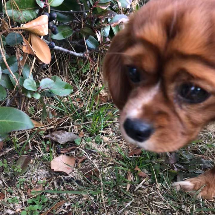 C79b8130 8ee6 4c47 9153 84bbd1ae5d0e 1578100309712