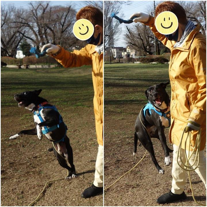 C79ba3bf 148c 4a7b 807d 471b28b7be55 1616024954825