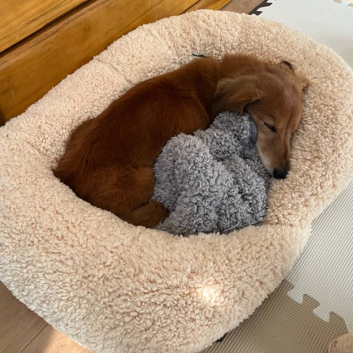 C79bb7d5 189b 4577 9c1d a2e01a850bdd 1639978744611