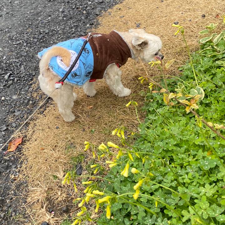 C79bcaa3 ce9e 41bc 9ff1 2b9f20b1e20b 1579315950393