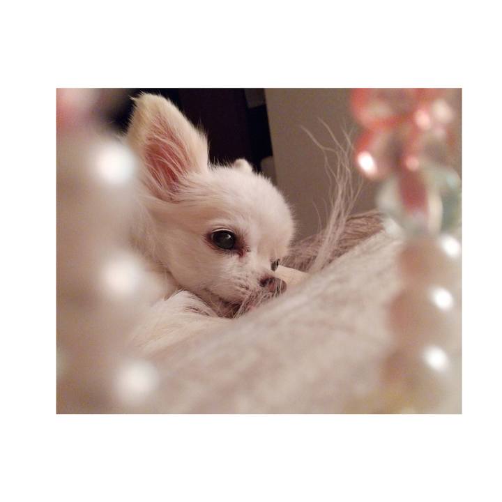 C79bcd05 347e 4750 a93f a6ec48b4915f 1632830463835