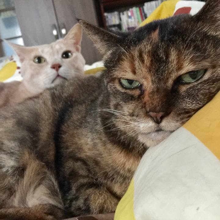 C79c0739 460d 422d 94c0 557d5da9c6b5 1536742690610